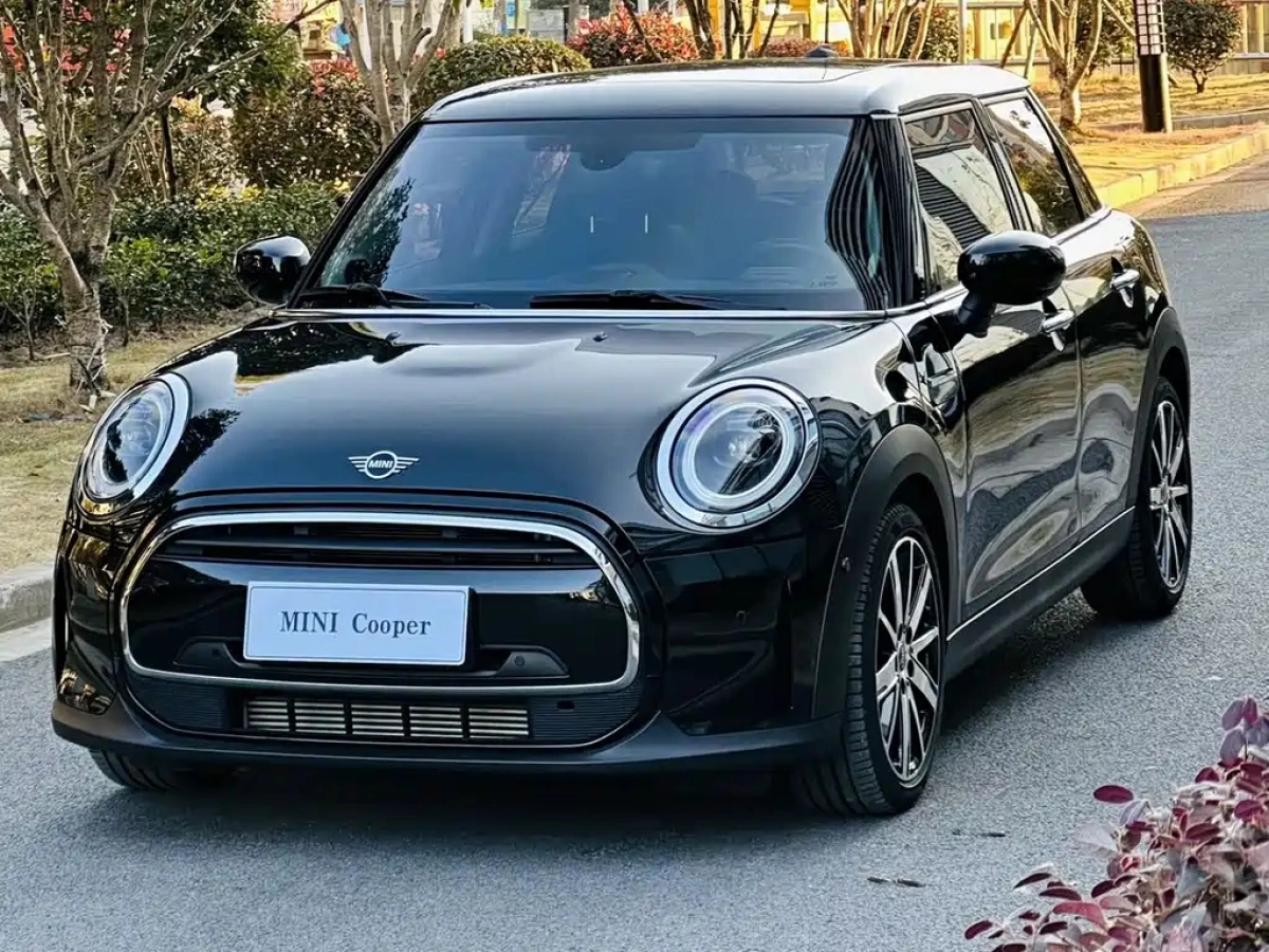MINI OTHER