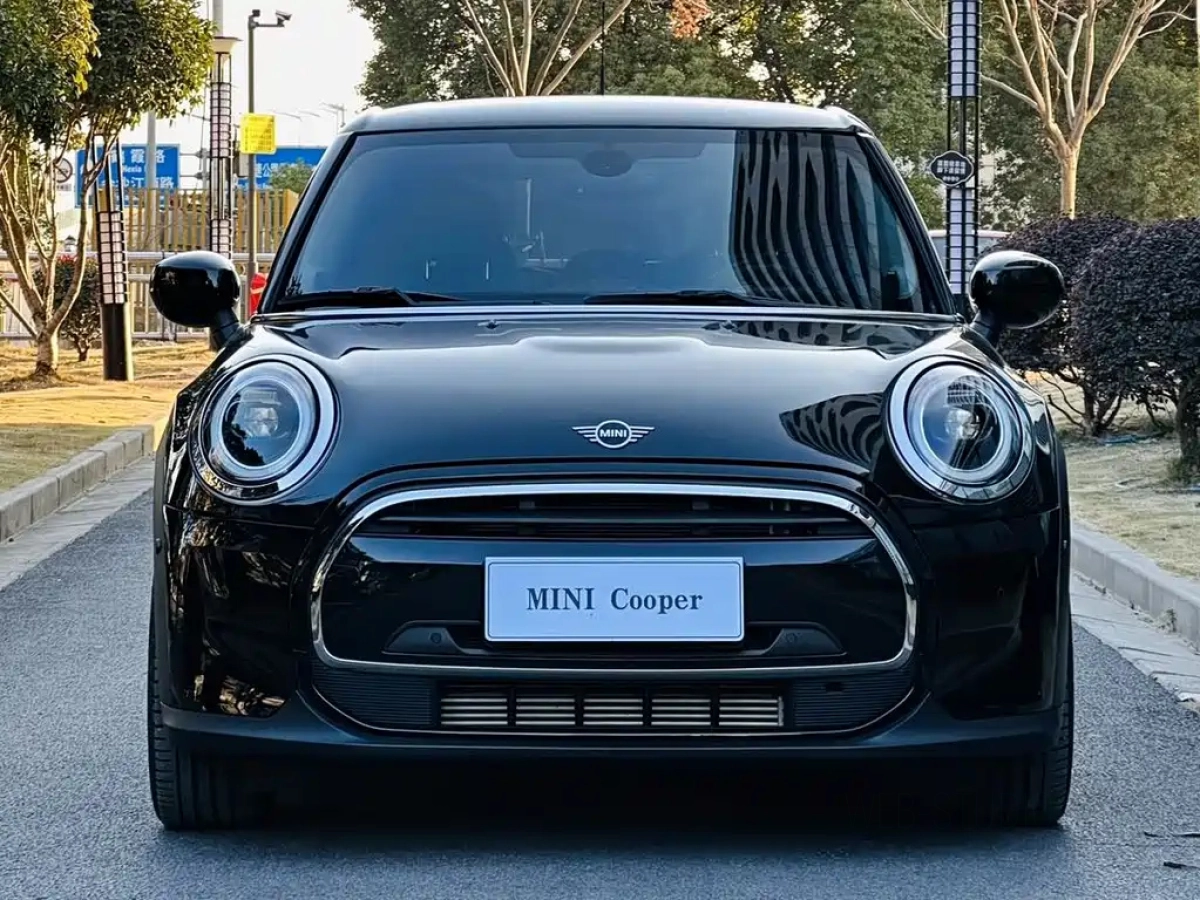 MINI OTHER