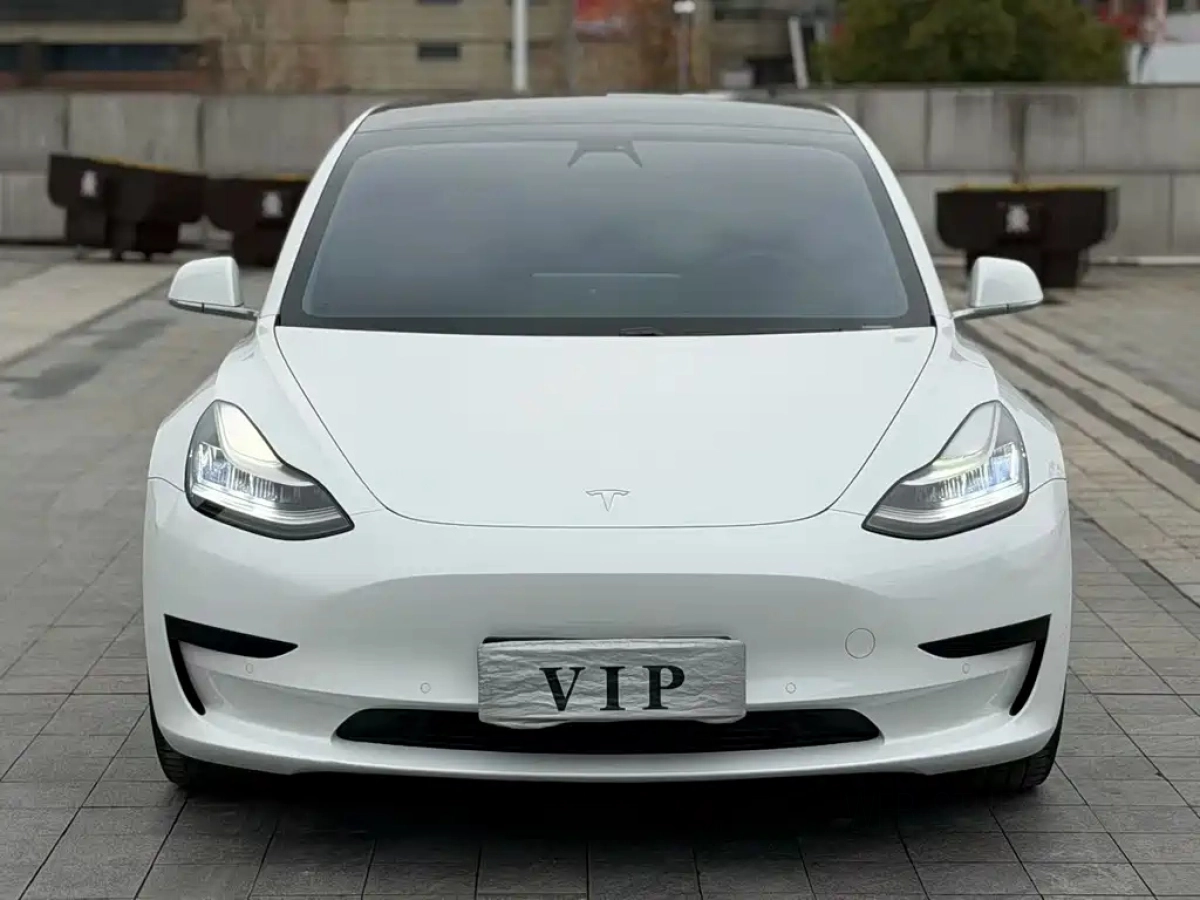 TESLA MODEL 3 IMPORT