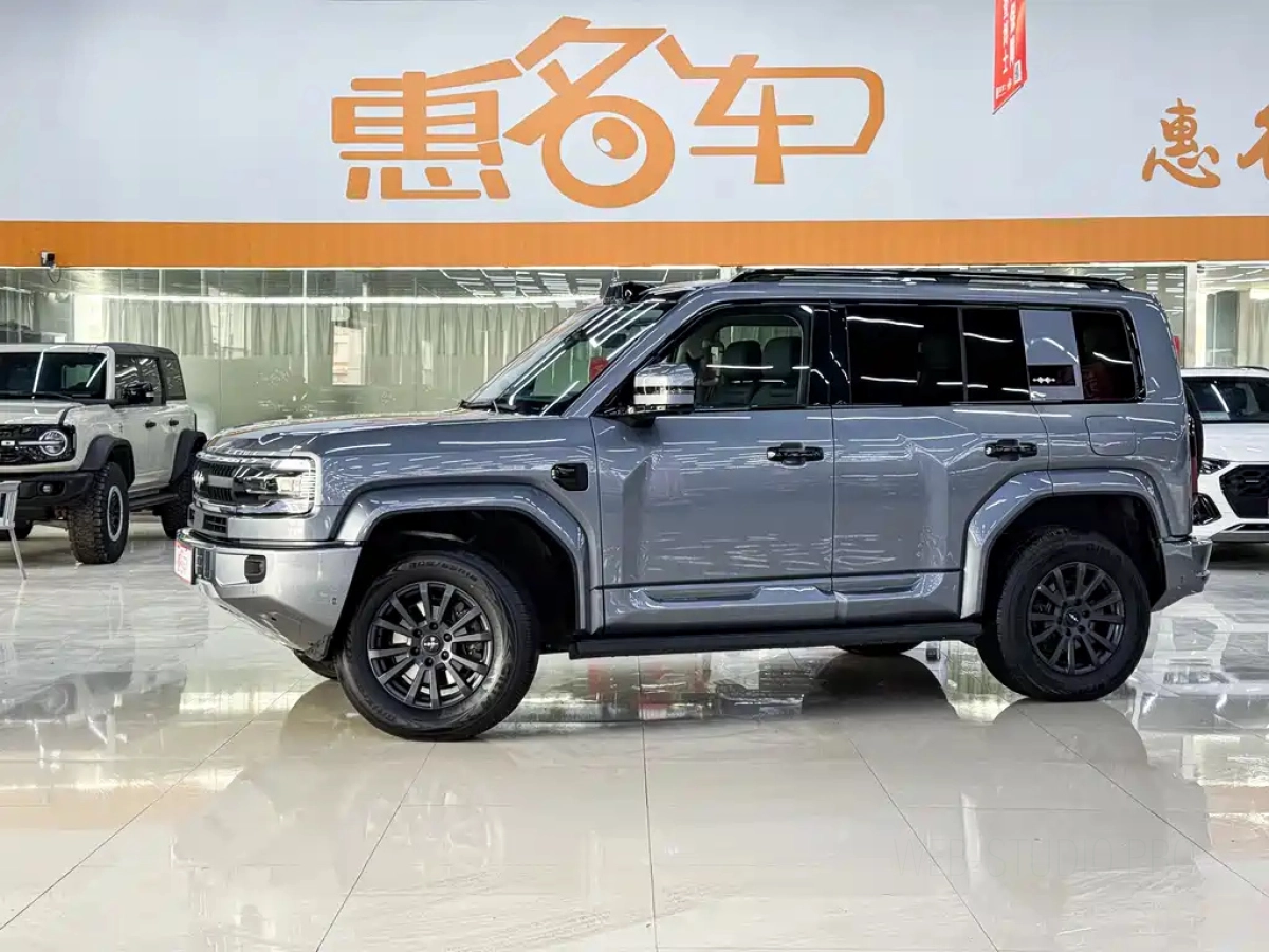 BYD FANGCHENG BAO 5