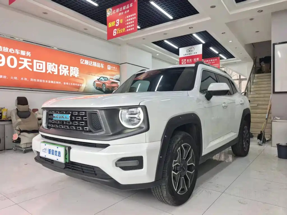 HAVAL DAGOU II NEW ENERGY  2023