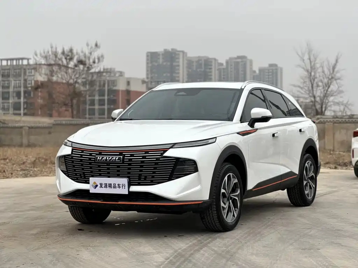 HAVAL SHENSHOU  2023