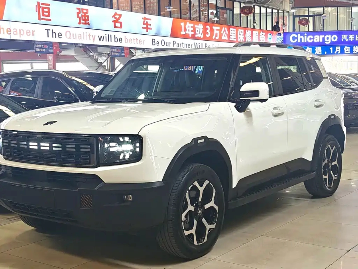 JETOUR SHANHAI T1  2024