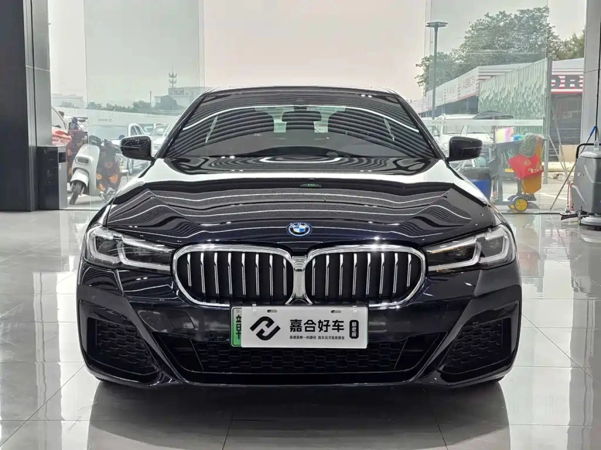 BMW 5 SERIES NEW ENERGY
