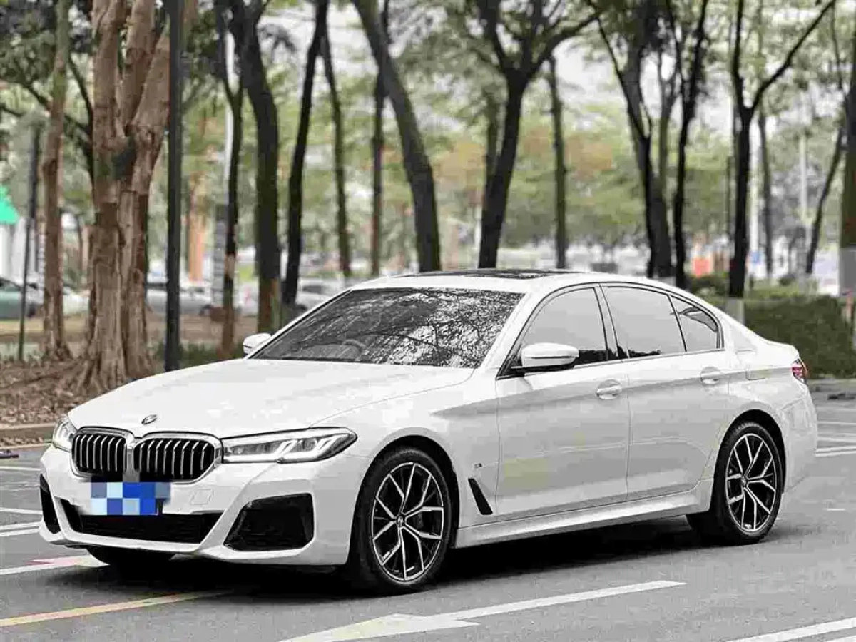 BMW 5 SERIES IMPORT  2021