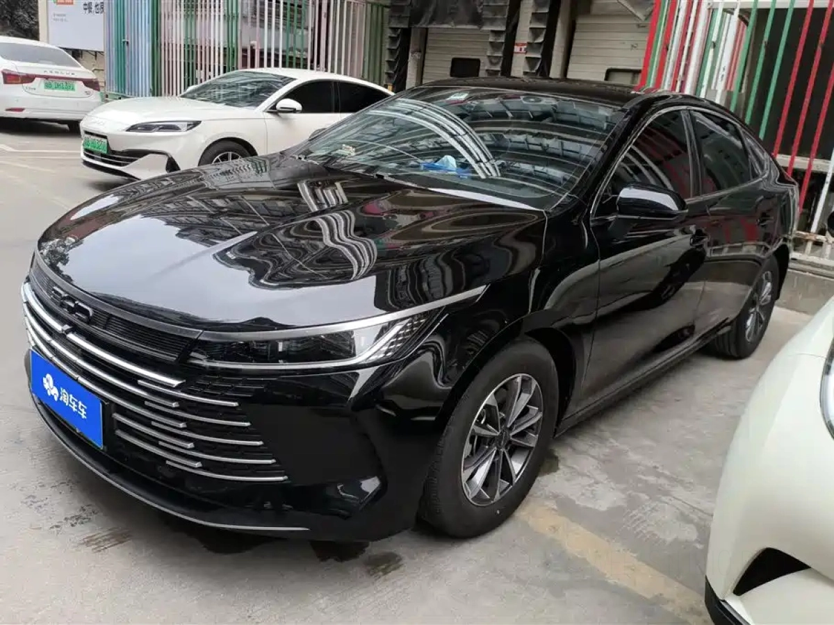 BYD DESTROYER 05  2024