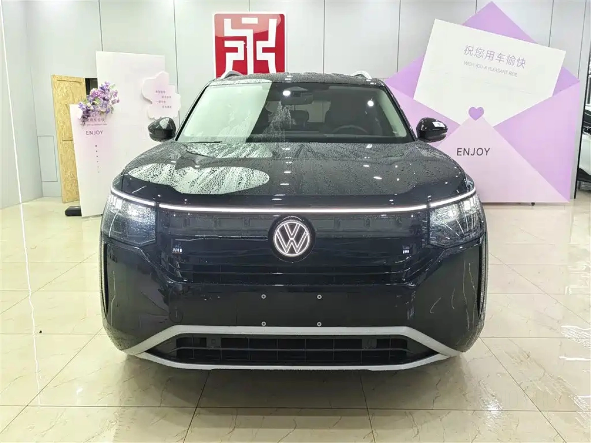 VOLKSWAGEN TERAMONT