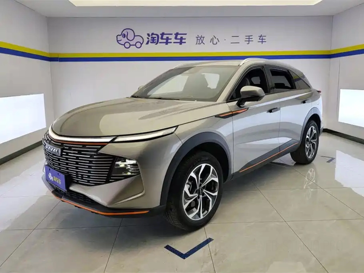 HAVAL SHENSHOU  2022