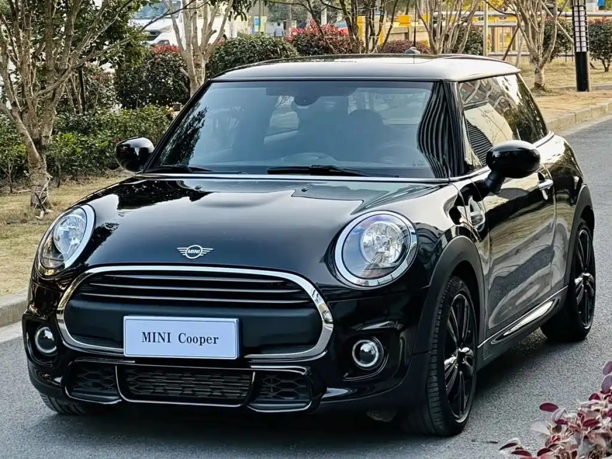 MINI OTHER