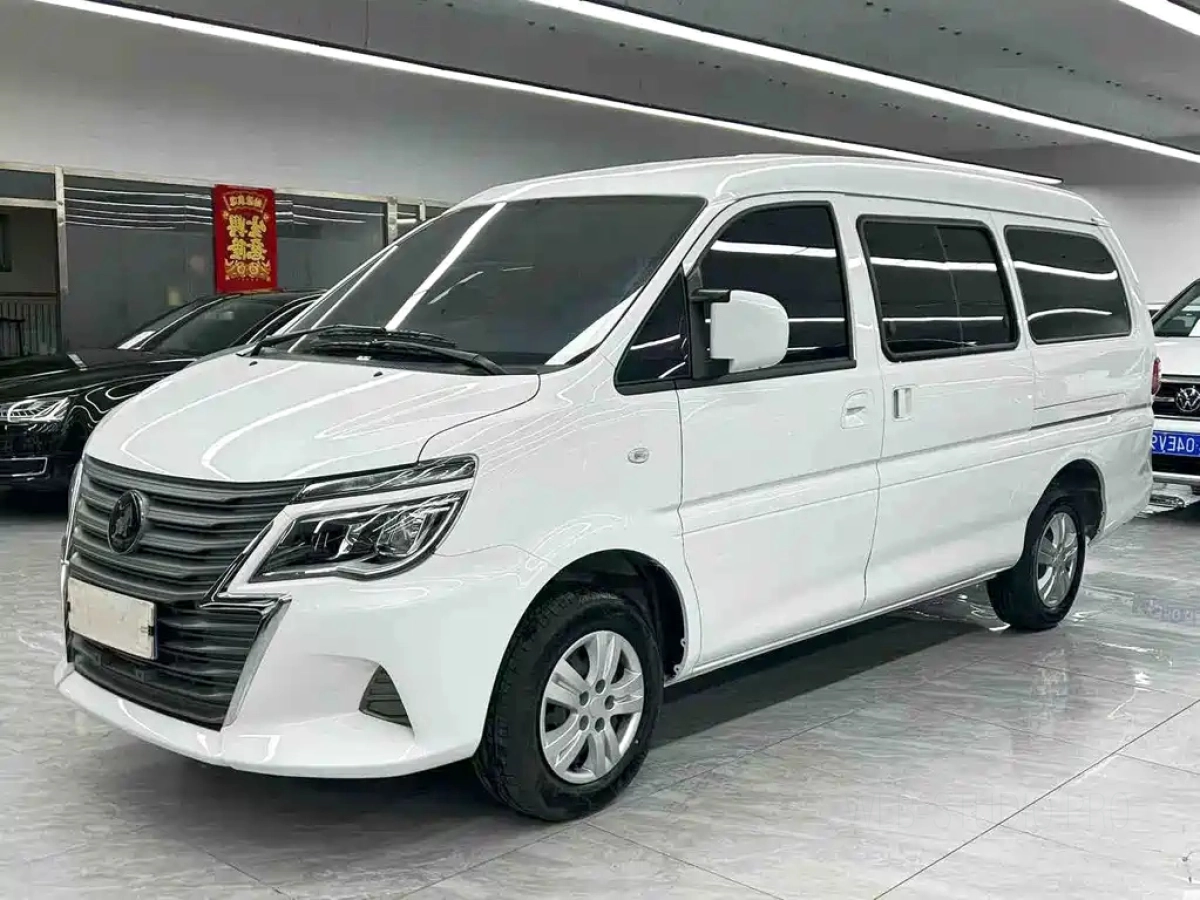 DONGFENG LINGZHI  2025