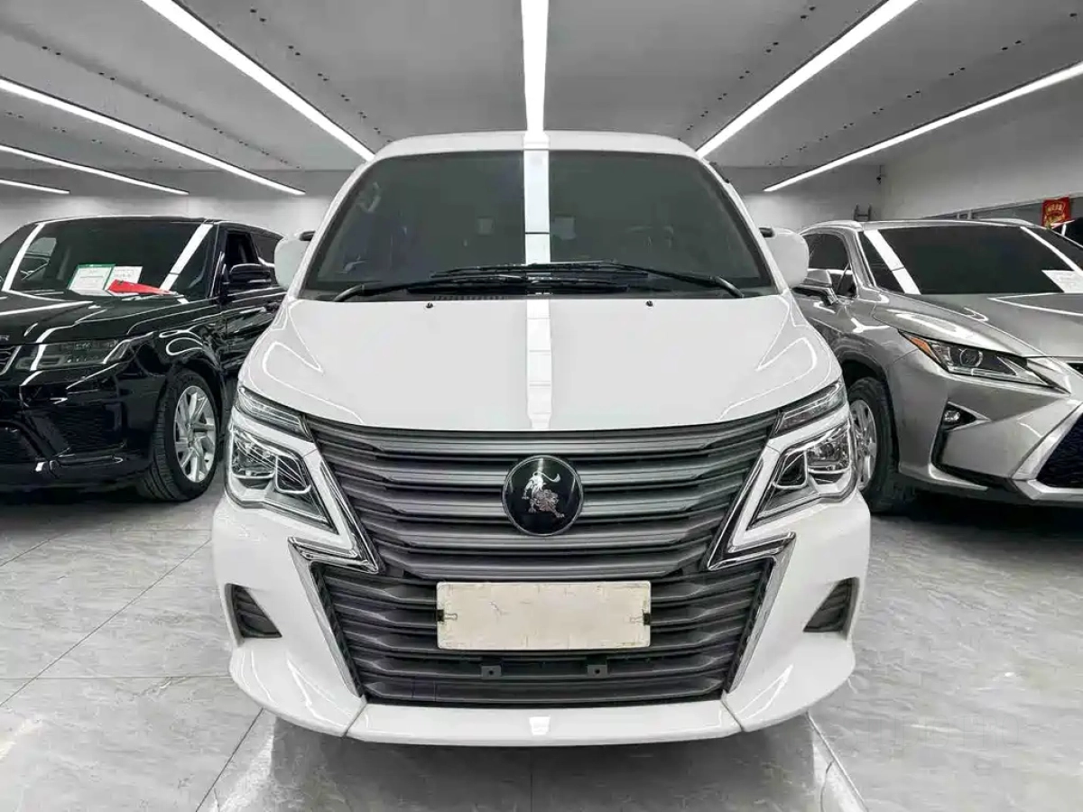 DONGFENG LINGZHI