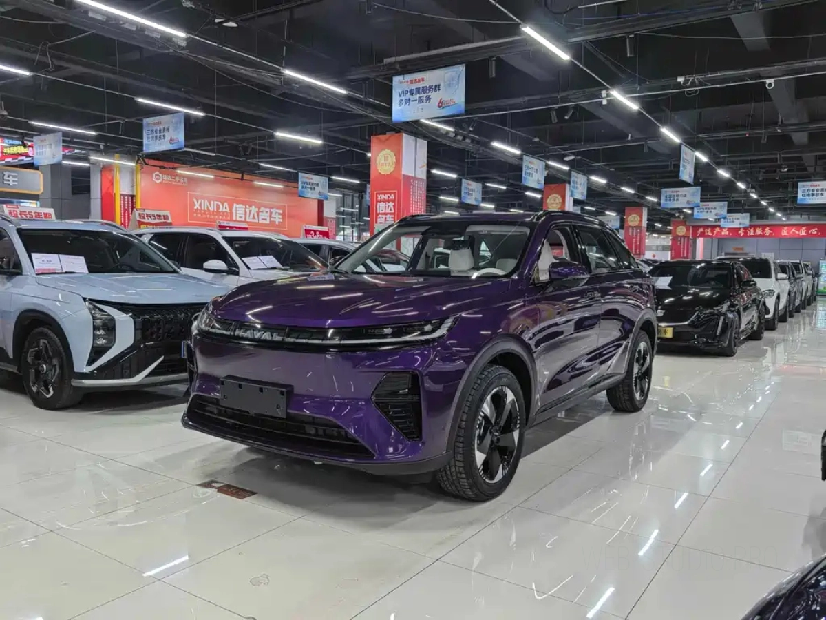 HAVAL XIAOLONG MAX  2026