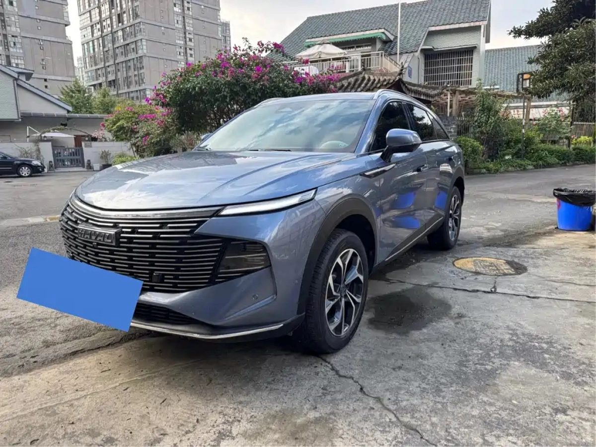 HAVAL SHENSHOU  2021