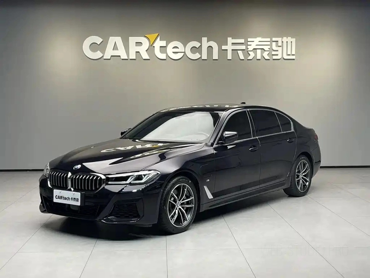 BMW 5 SERIES NEW ENERGY  2021