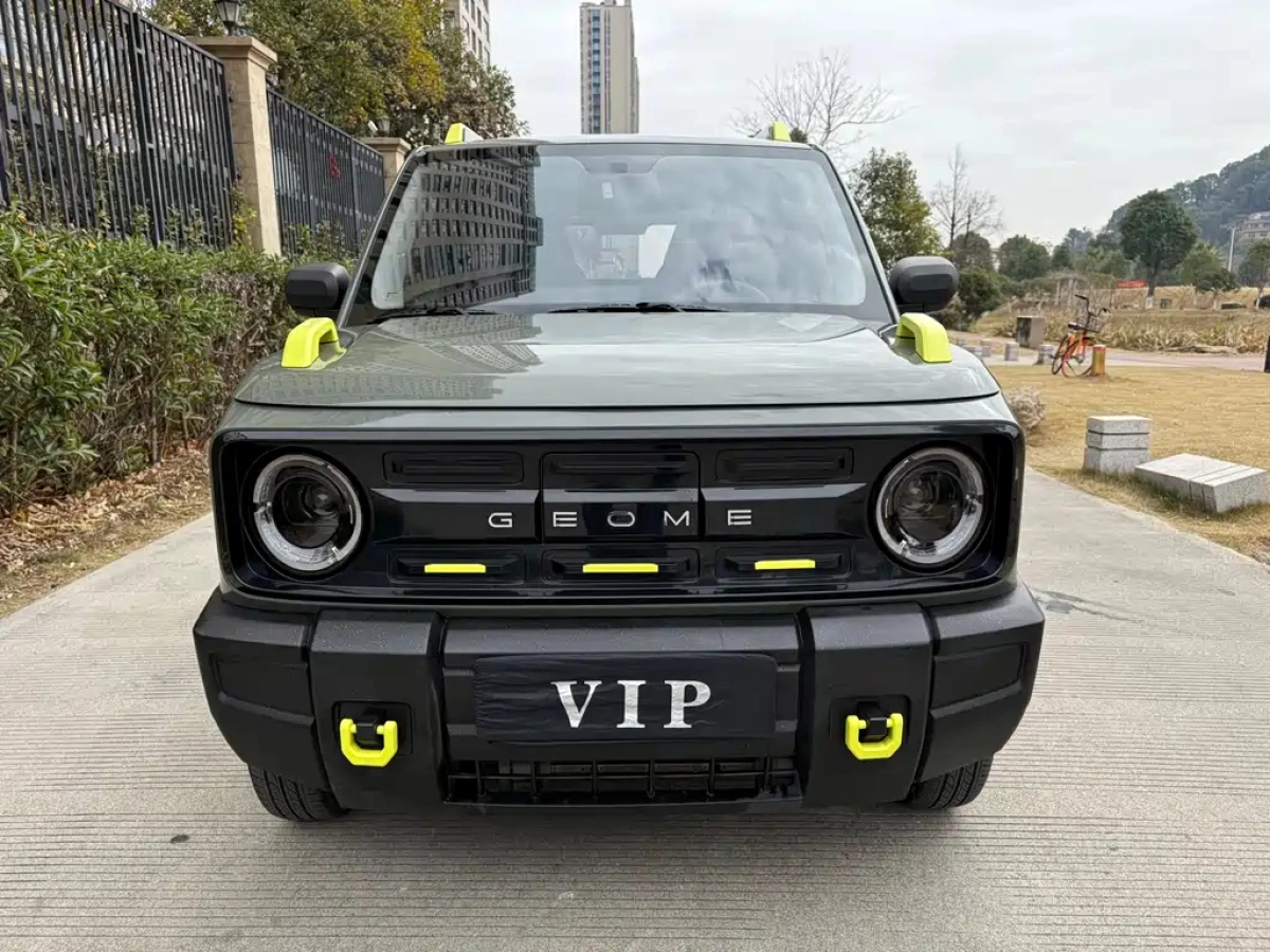 GEELY AUTO PANDA  2024