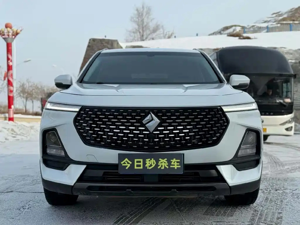 BAOJUN RS-5
