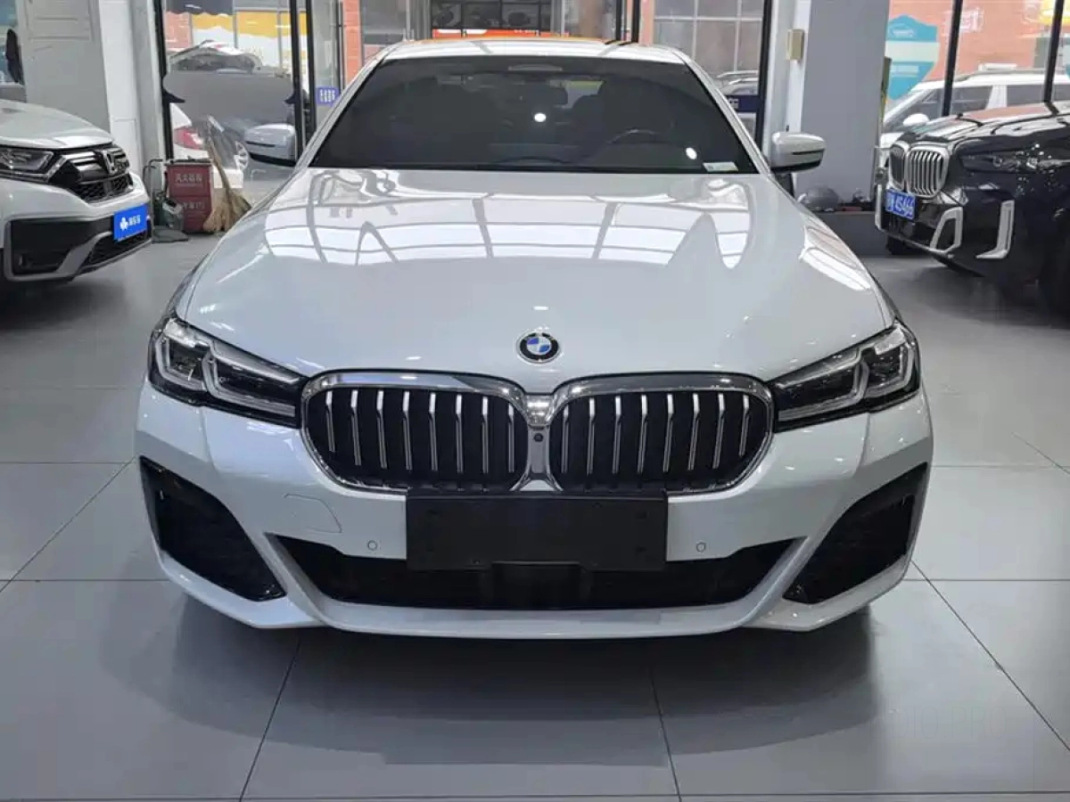 BMW 5 SERIES NEW ENERGY