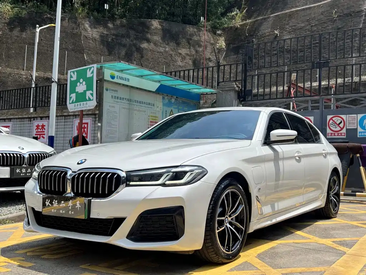 BMW 5 SERIES NEW ENERGY  2021