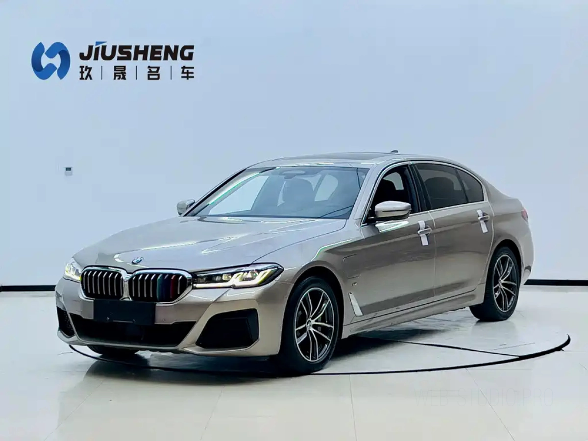 BMW 5 SERIES NEW ENERGY  2021