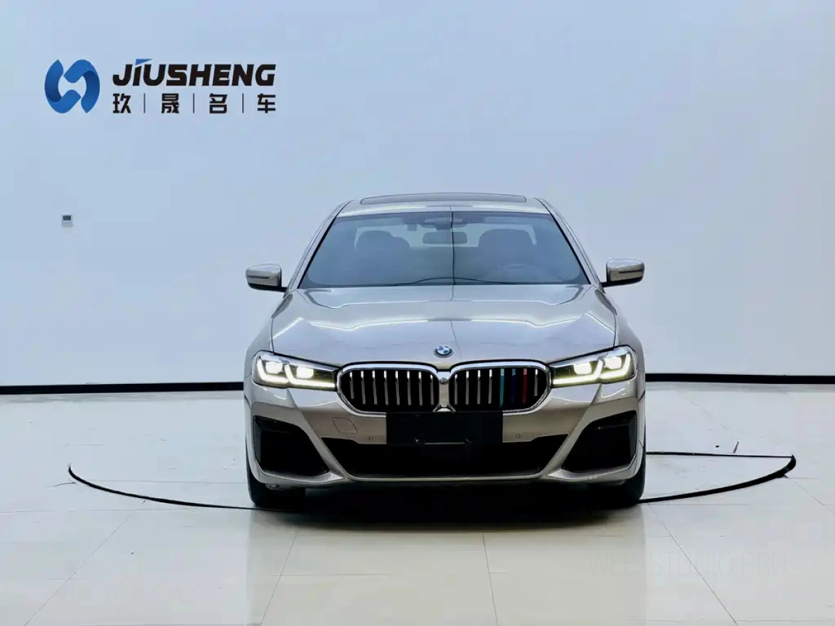 BMW 5 SERIES NEW ENERGY