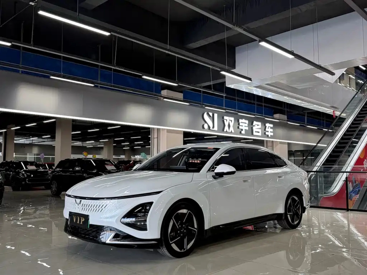 WULING XINGGUANG  2024