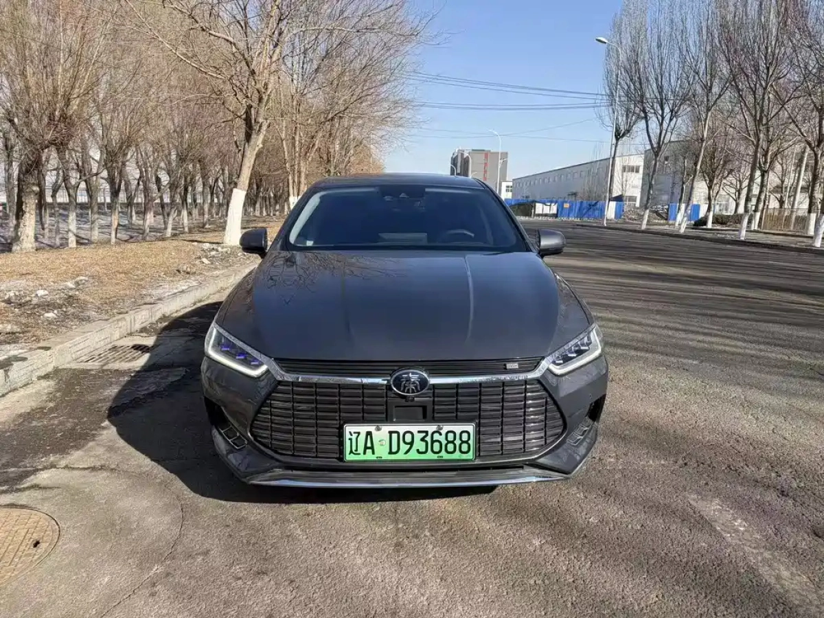 BYD QIN PRO NEW ENERGY