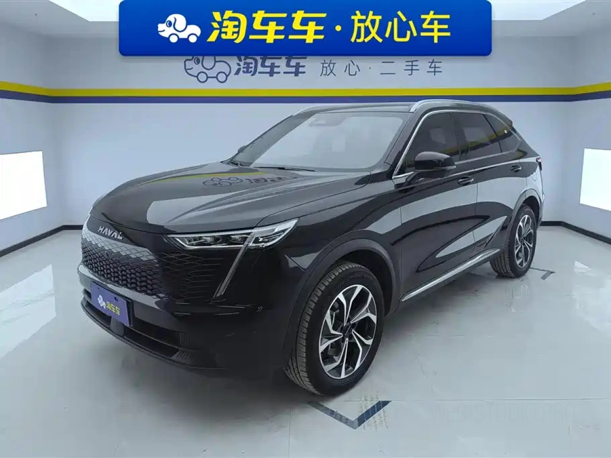 HAVAL XIAOLONG MAX  2024