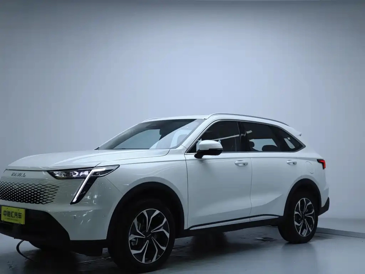 HAVAL XIAOLONG MAX  2025