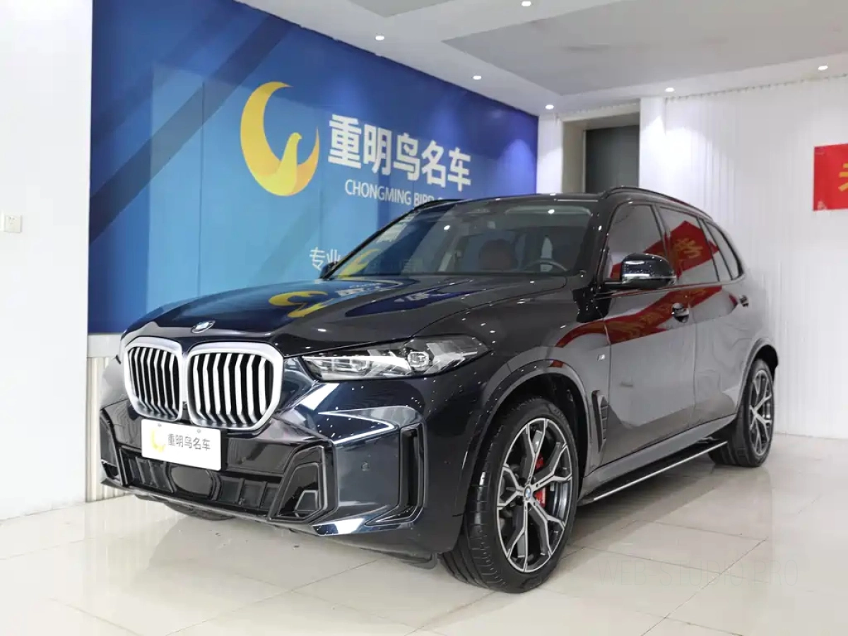 BMW X5  2024