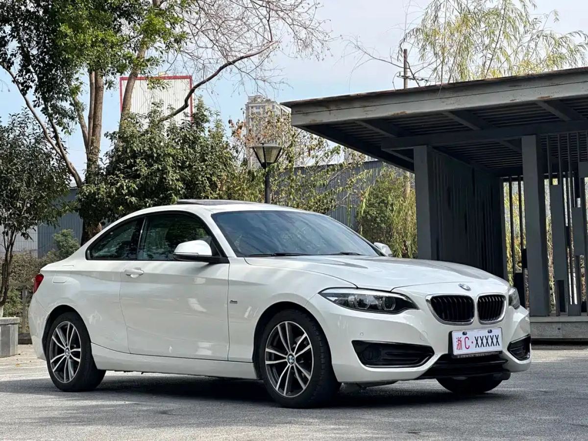 BMW 2 SERIES  2019