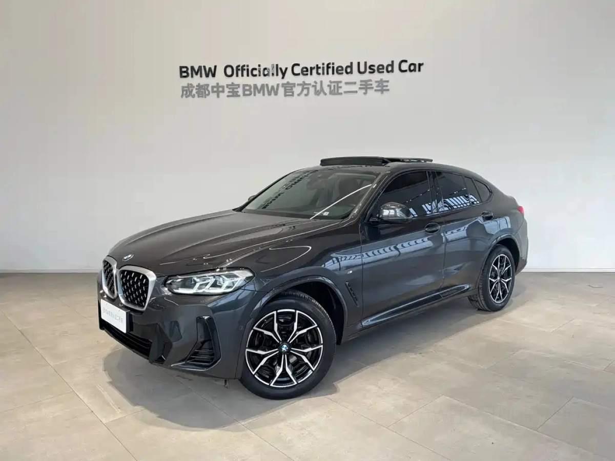 BMW X4  2023