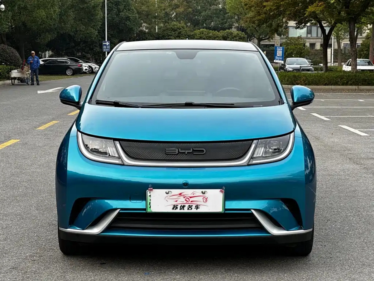 BYD DOLPHIN