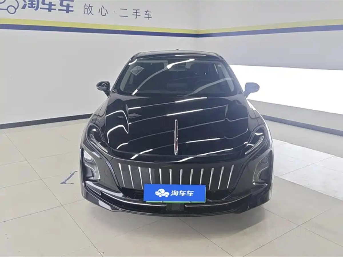 HONGQI E-QM5