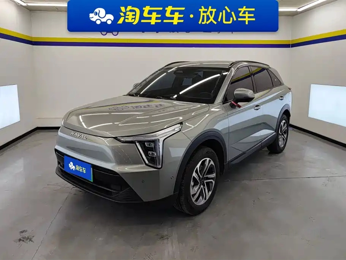 HAVAL XIAOLONG  2024