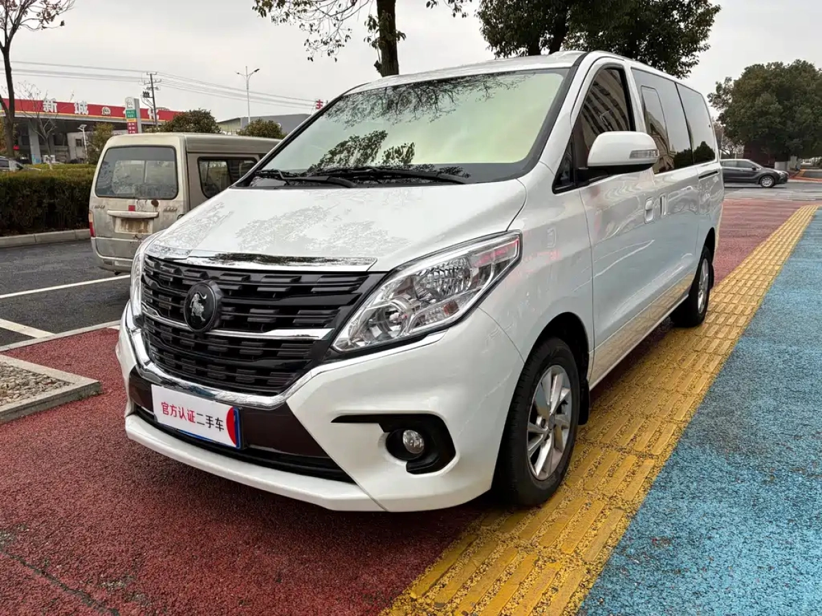 DONGFENG LINGZHI PLUS  2024