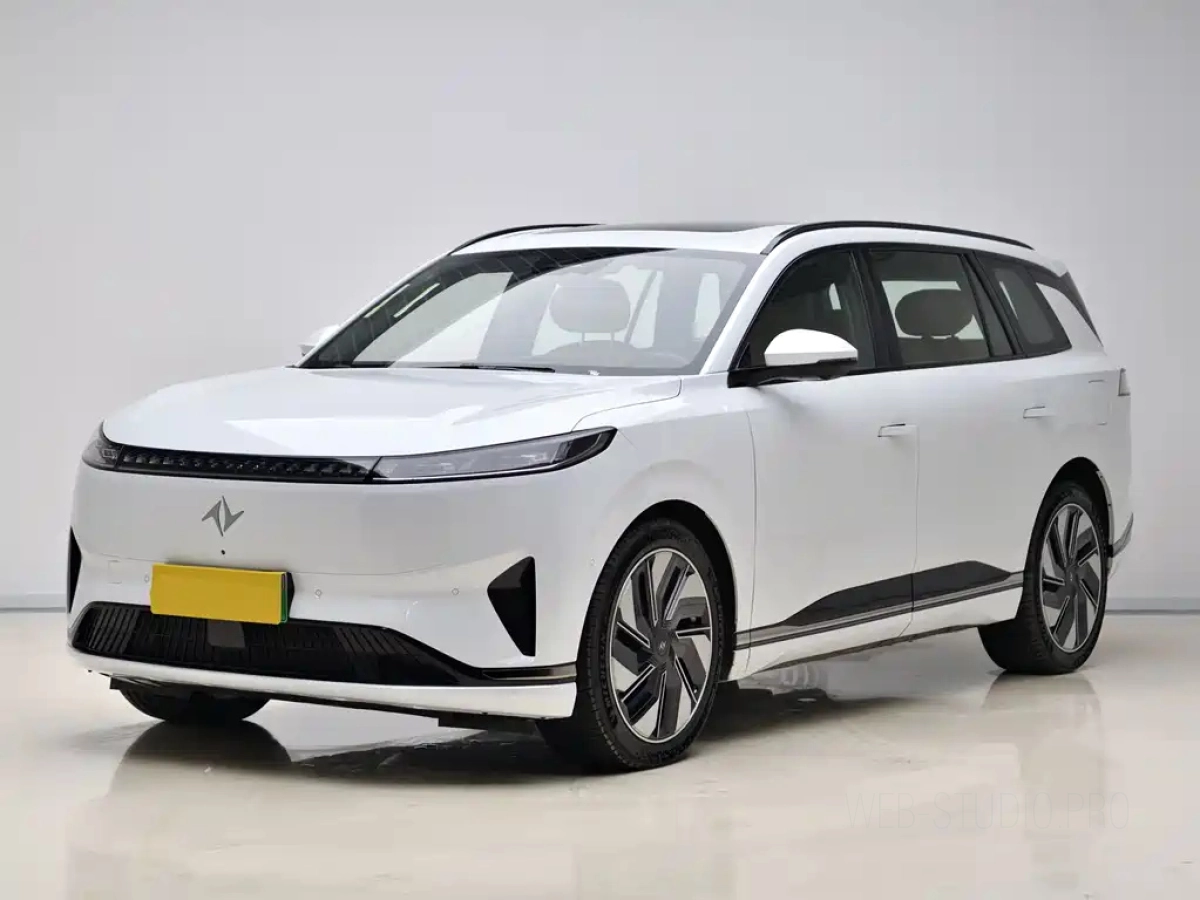 DONGFENG EP0 08  2025