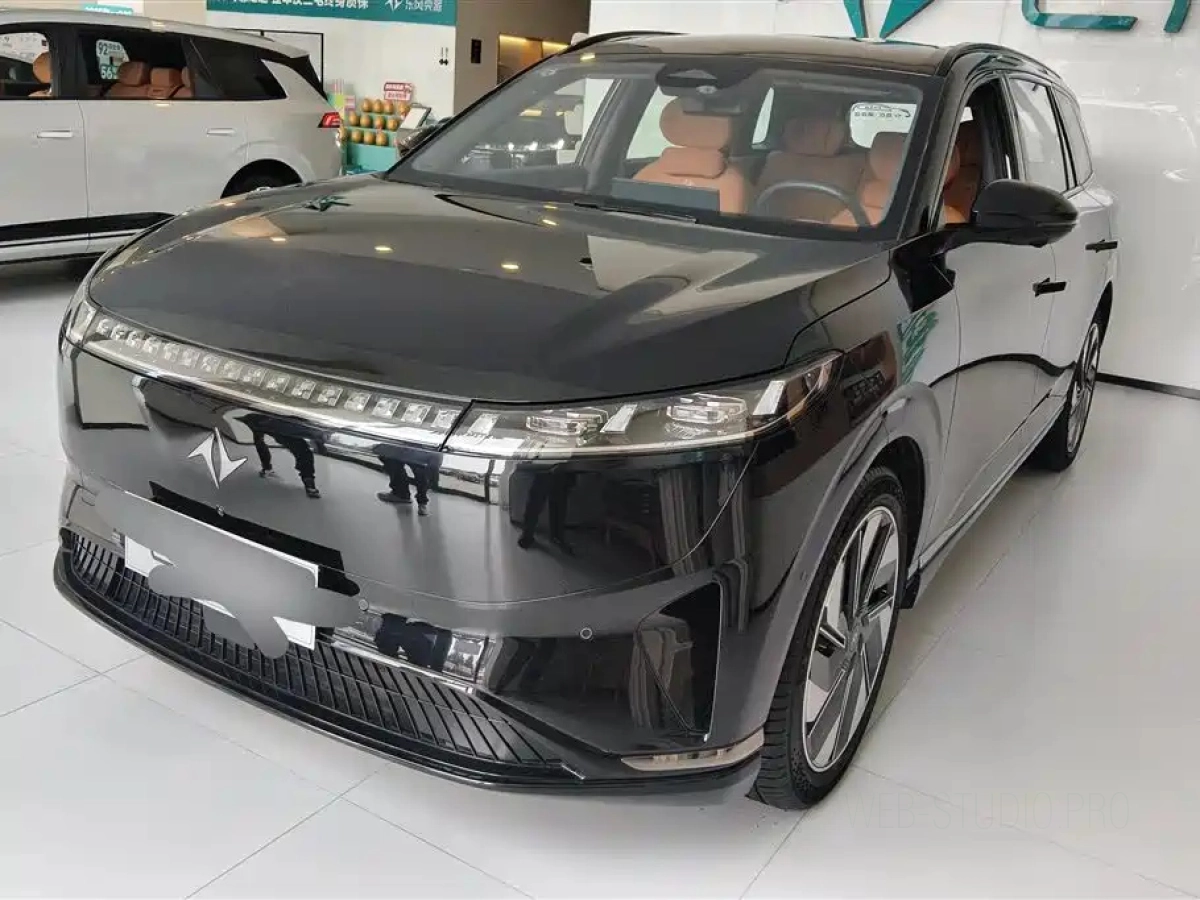 DONGFENG EP0 08  2024