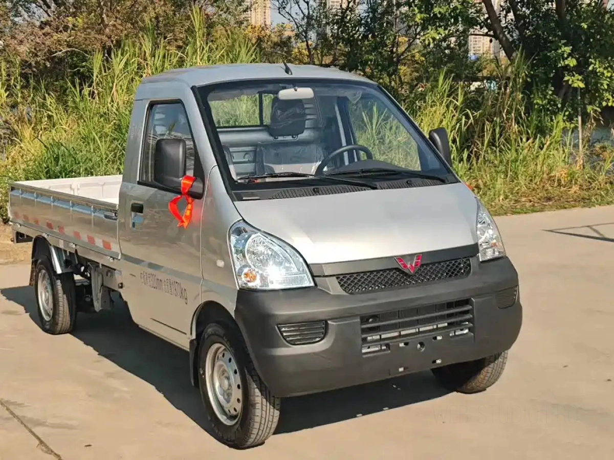 WULING RONGGUANG MINI TRUCK