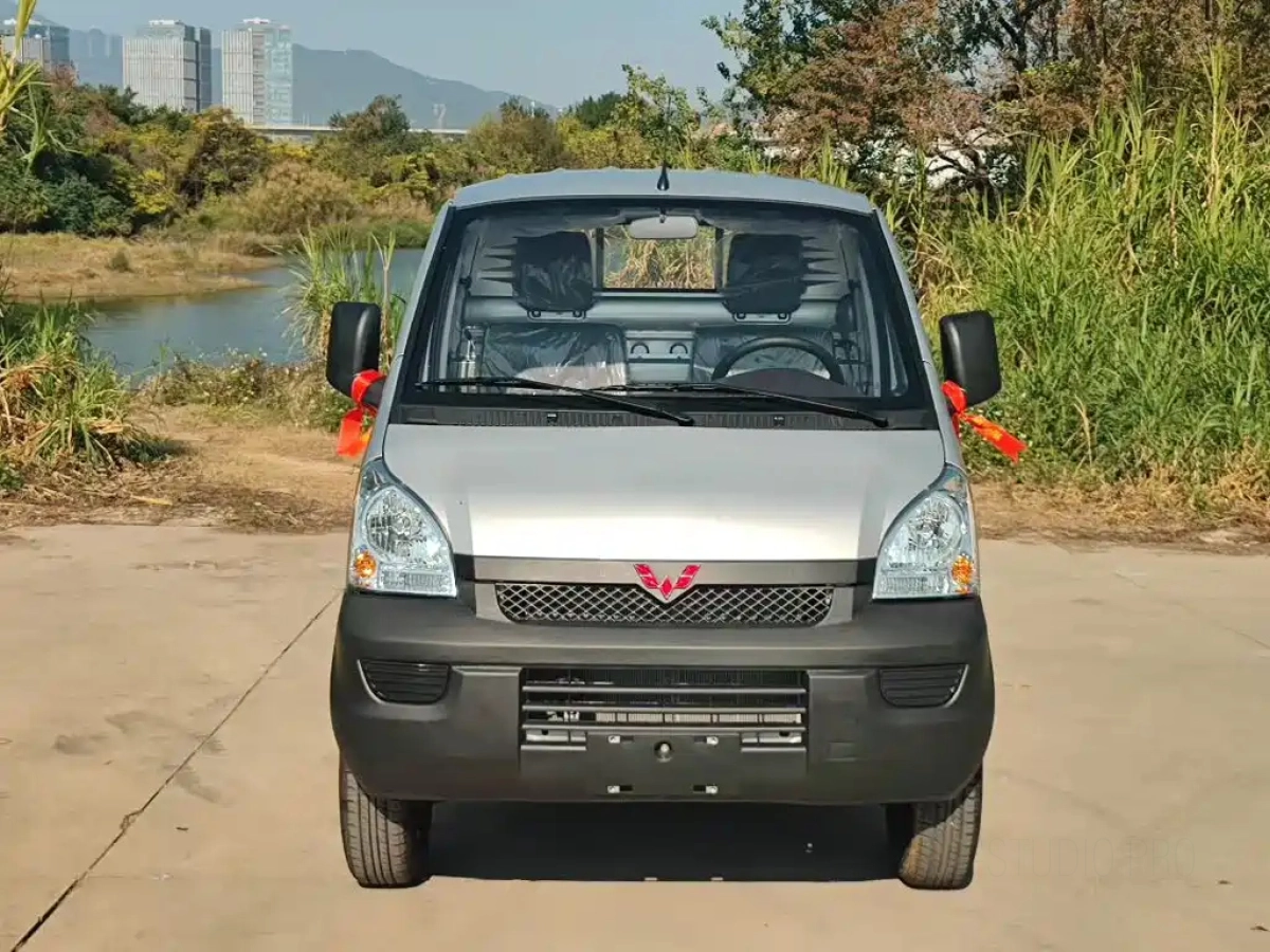WULING RONGGUANG MINI TRUCK