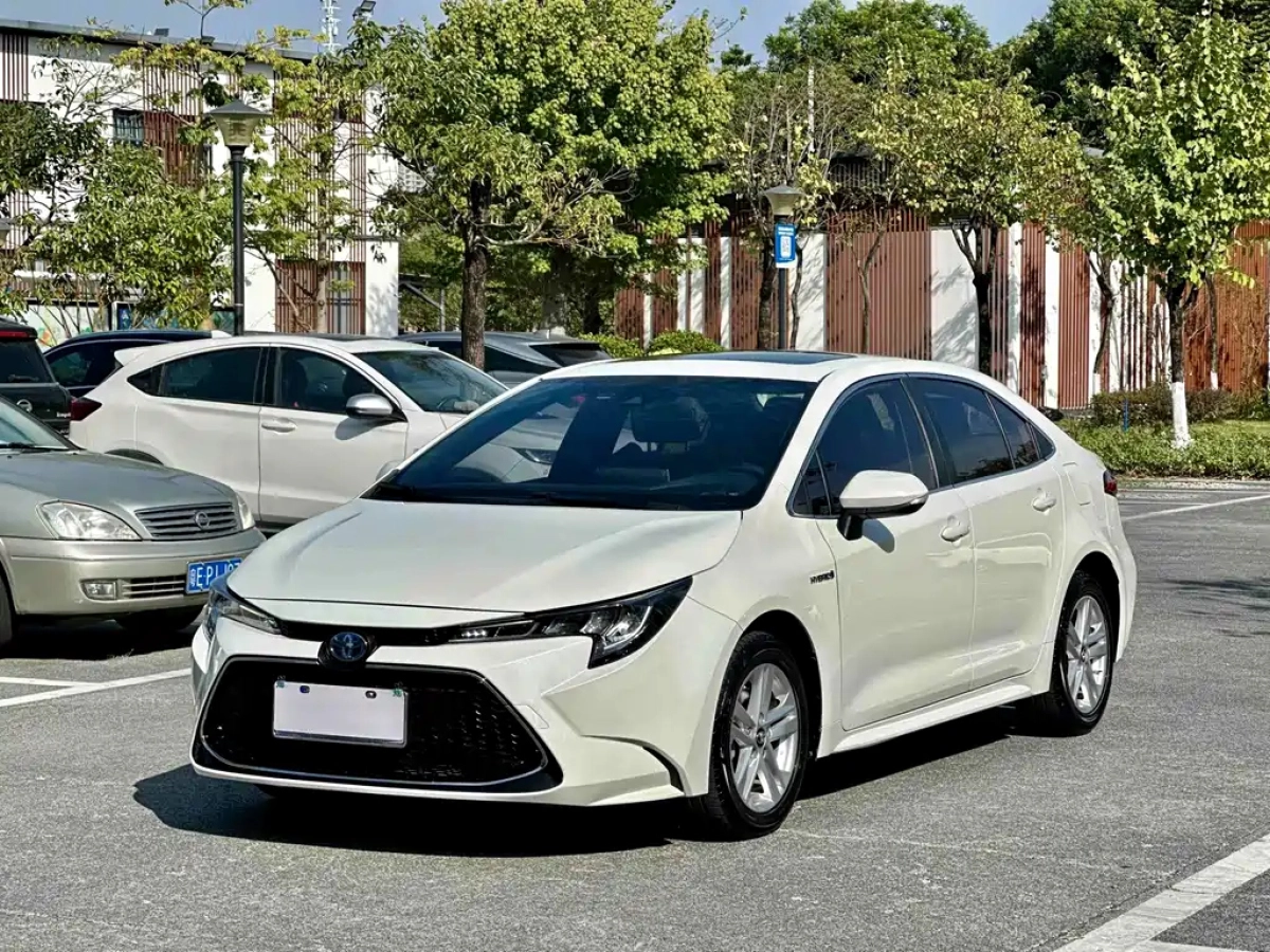TOYOTA LEVIN  2019