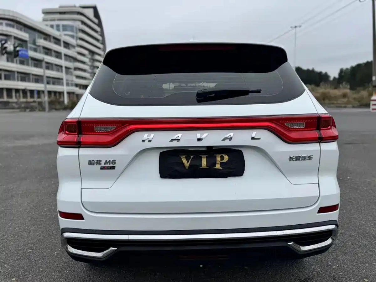 HAVAL M6