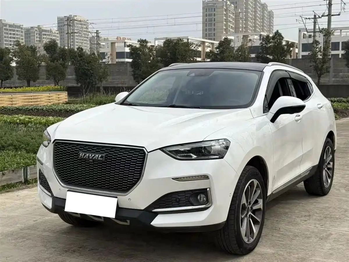 HAVAL F5  2019