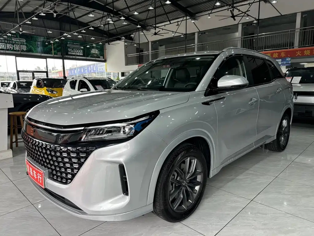 DONGFENG LAND E5  2023