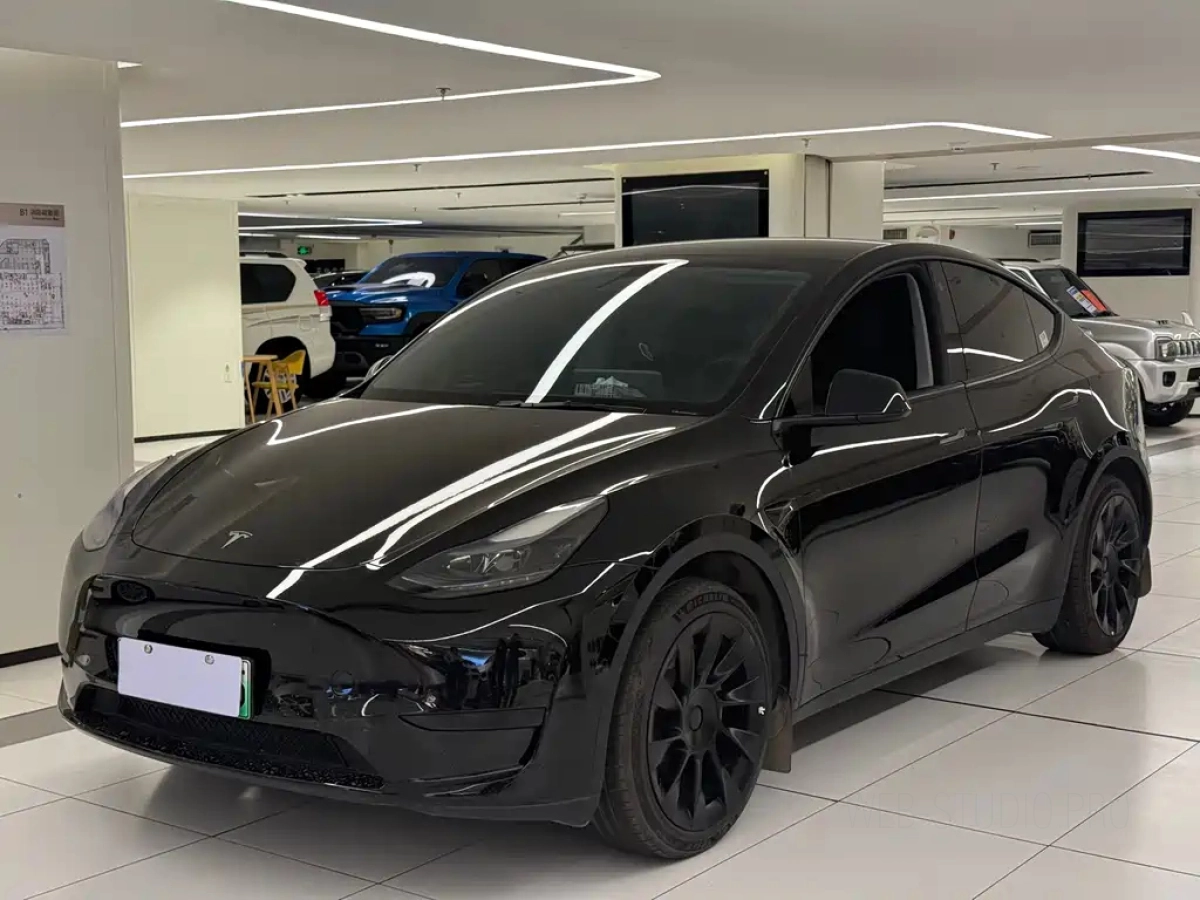 TESLA MODEL Y  2024