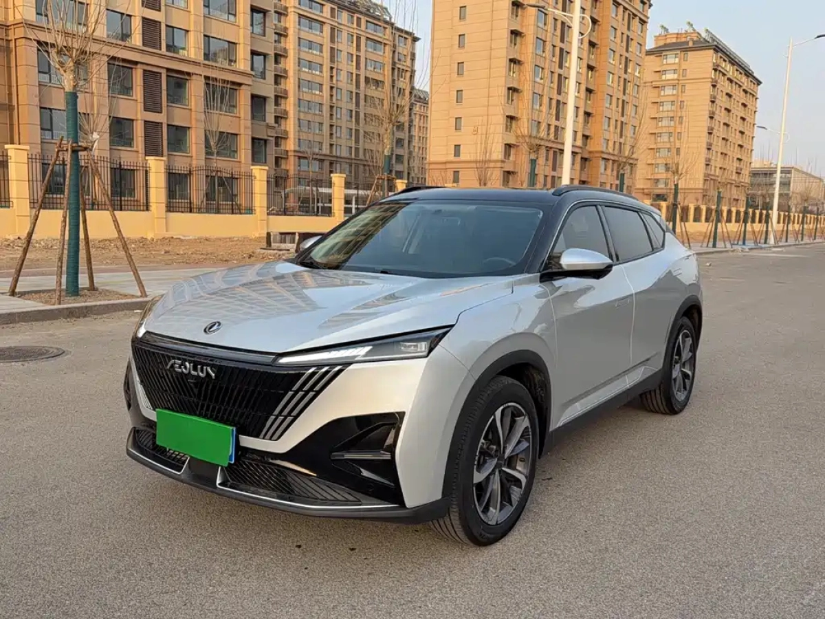 DONGFENG HAOHAN  2024