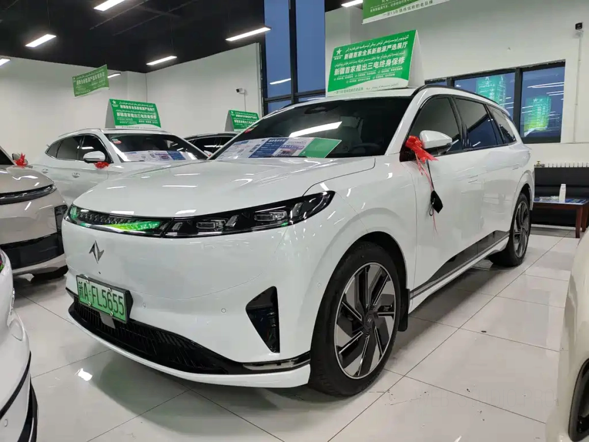 DONGFENG EP0 08  2025