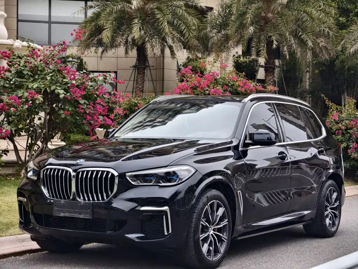BMW X5  2023