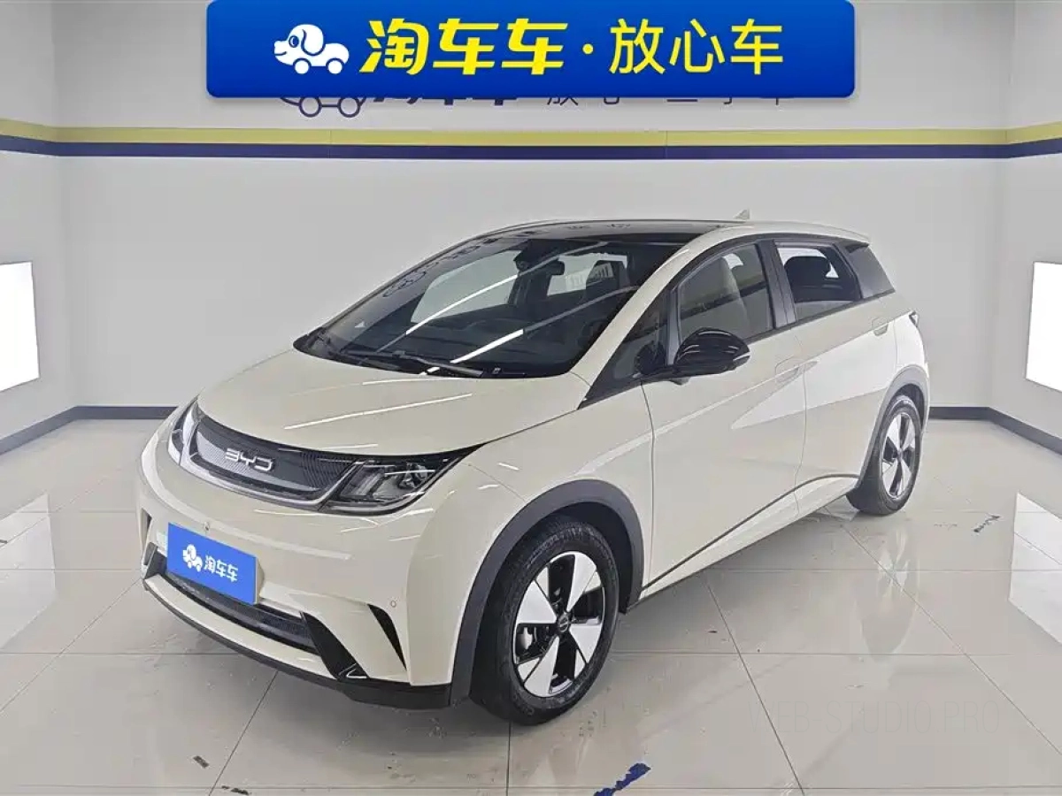 BYD DOLPHIN  2024