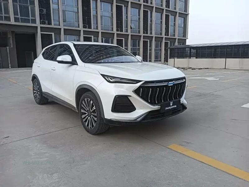 CHANGAN OSHAN X5