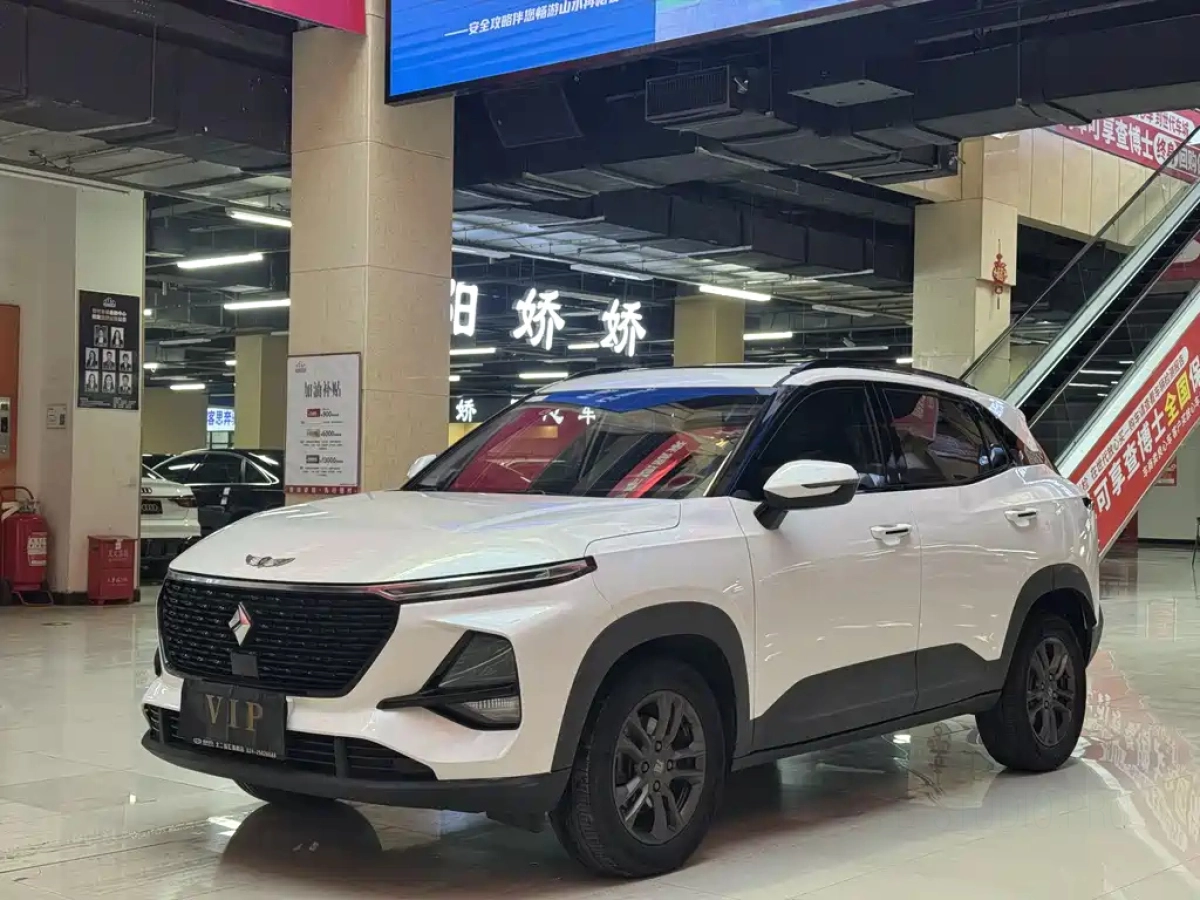 BAOJUN RS-3  2020